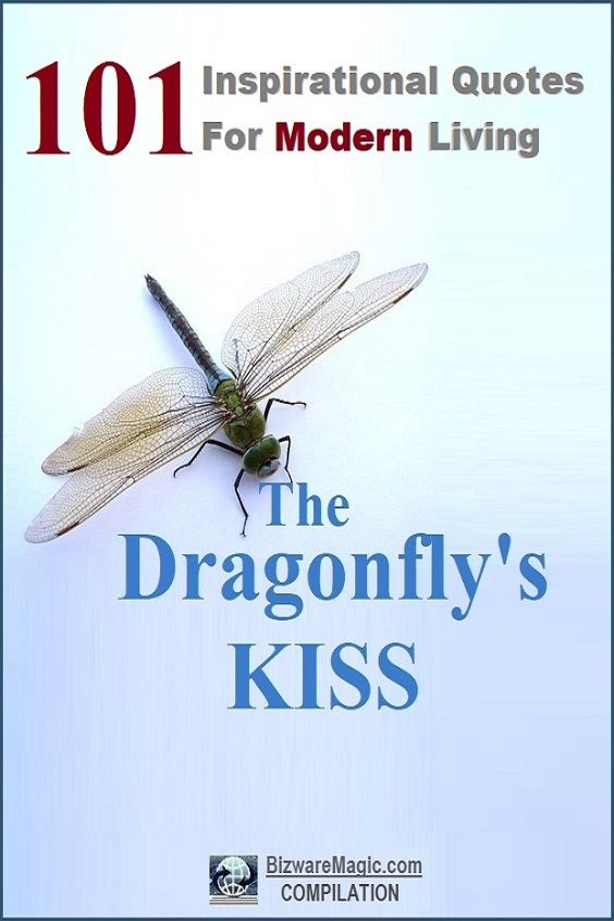 The Dragonfly's KISS