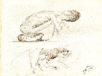 Figures